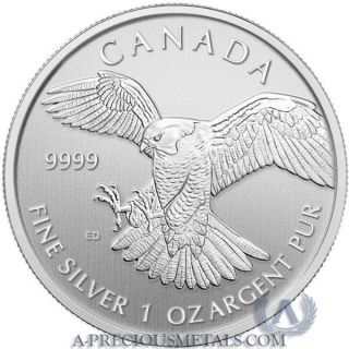 Limited Edition 2014 1oz Silver Peregrine Falcon photo