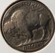 1936 Buffalo Nickel Five Cents Nickels photo 1