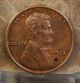 1913 1c Bn Lincoln Cent Small Cents photo 1