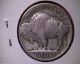 1935 - D Buffalo Nickel Nickels photo 3