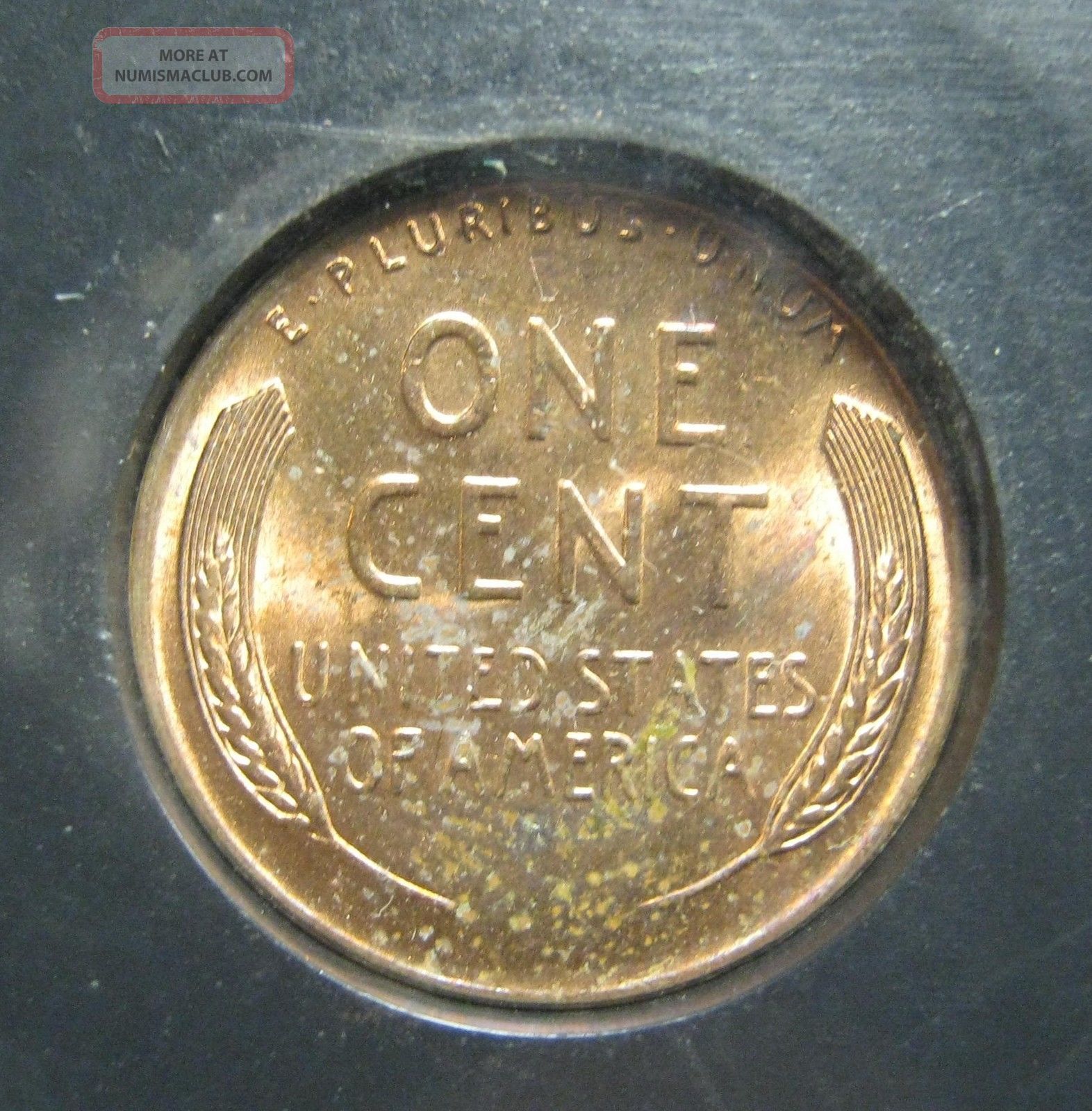 1951 - D/s Lincoln Wheat Cent - D/s Omm 1 Fs - 021. 5 Gem - 6688