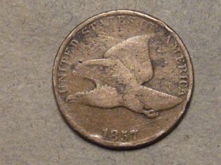 1857 Flying Eagle Cent 3244a photo