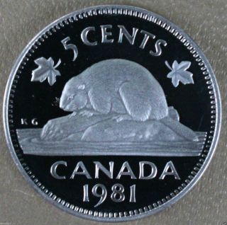 5 Cent Coin Proof 1981 photo