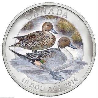 2014 $10 Pintail Duck,  Fine.  9999 Silver Coin,  Mintage 10,  000 - No Taxes photo