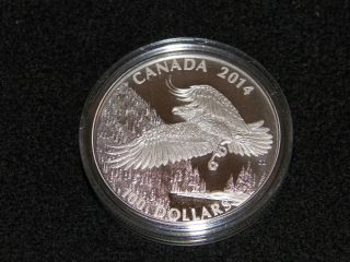 2014 1 Oz Silver Canadian $100 Coin - Majestic Bald Eagle From Rcm photo