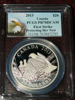 2013 Canada Bald Eagle Protecting Her Nest 1 Oz Proof Silver - Pcgs Pr70 Dcam photo