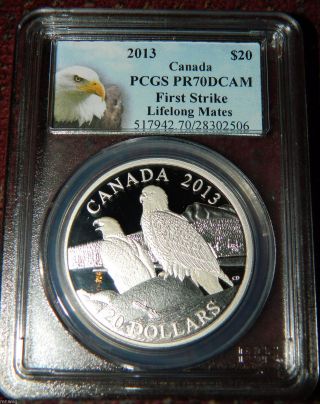 2013 Canada Bald Eagle - Lifelong Mates 1 Oz Proof Silver Coin - Pcgs Pr70 Dcam photo