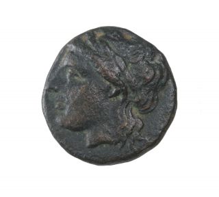 Troas Alexandria Ae15 3rd - 2nd Century Bc Ancient Greek Coin Apollo Horse photo
