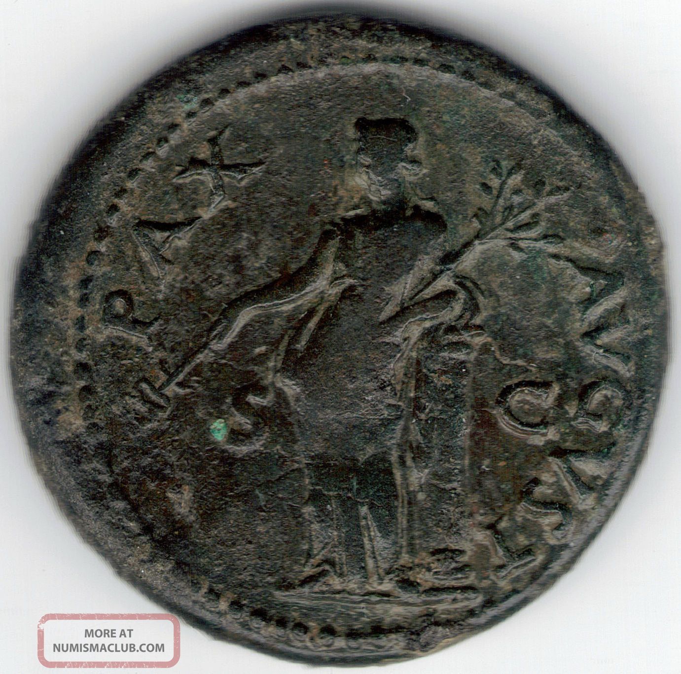 Tmm 79 - 81ad Roman Imperial As Titus F/vf 27mm Bronze/dark Patina