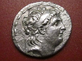 Greek Syria Antioch Silver Tetradrachm Antiochus Vii Euergetes Athena (92mp) photo
