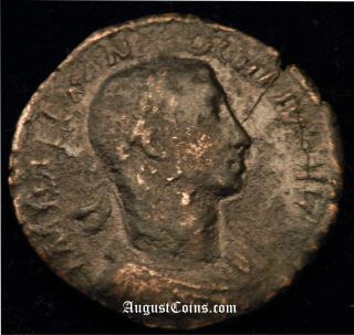 Ng Huge Roman Bronze Coin Of Severus Alexander Spes Hope Goddess Rare I1513 photo