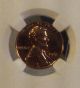 1961 1c Rd 67 (proof) Lincoln Cent Ngc Small Cents photo 1