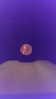 1981 D Lincoln Penny Small Cents photo 1