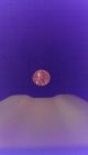 1981 D Lincoln Penny Small Cents photo 2