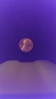 1981 D Lincoln Penny Small Cents photo 3