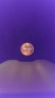 1981 D Lincoln Penny Small Cents photo 4