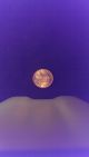 1981 D Lincoln Penny Small Cents photo 5