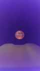 1981 D Lincoln Penny Small Cents photo 6