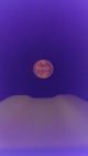 1981 D Lincoln Penny Small Cents photo 8
