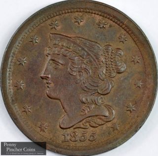 1855 Braided Hair Half - Cent Borderline Uncirculated Chocolate Brown Type Copper photo