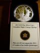 Canada 9999 Pure Silver - Canadian Maple Canopy Coin (spring) (2013) Coins: Canada photo 2