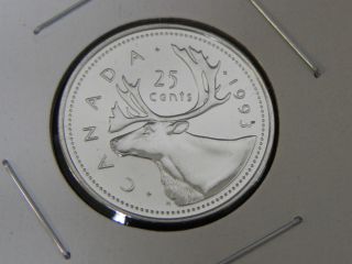 1993 Specimen Canadian Canada Caribou Quarter Twenty Five 25 Cent photo