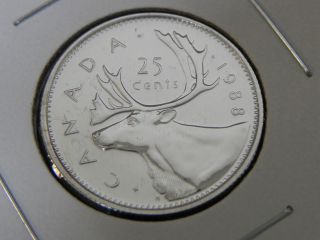 1988 Bu Pl Unc Canadian Canada Caribou Quarter Twenty Five 25 Cent photo