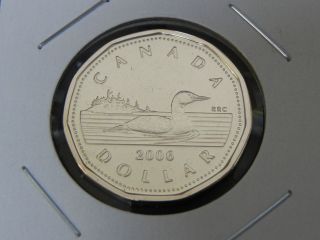 2006 Bu / Pl Nc Canadian Canada Loon Loonie One $1 Dollar No Logo photo