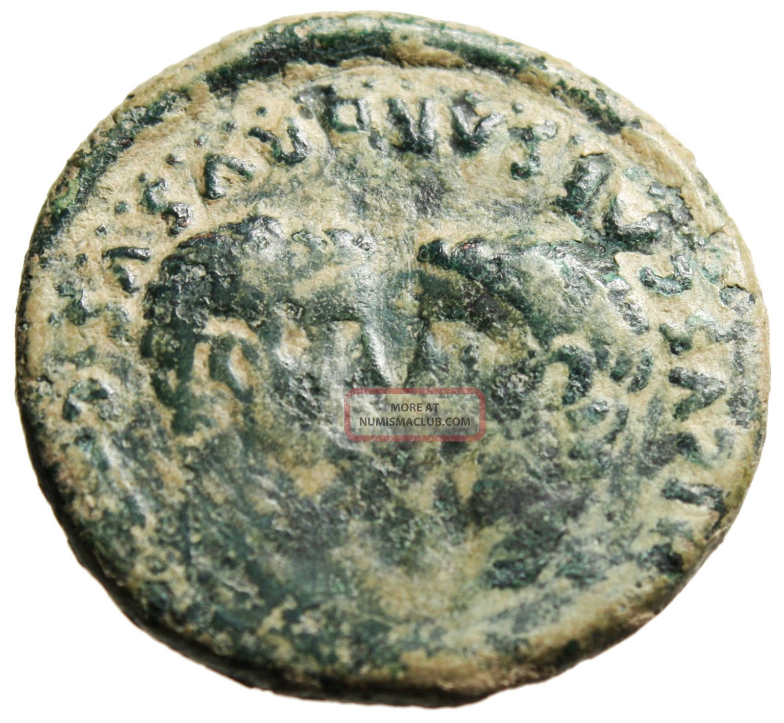 Tiberius Ae29 