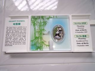 Singapore 2012 Giant Panda Silver Proof Commemorative Coin photo