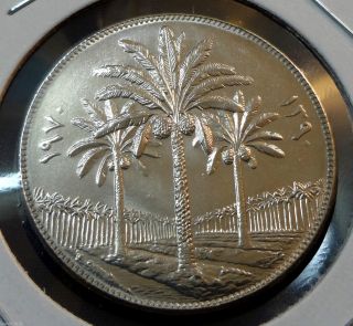 Iraq 1970 250 Fils,  Agrarian Reform Day,  F.  A.  O.  Palm Trees Coin photo
