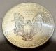 2013 Silver Eagle 1 Ounce Round Coin Silver photo 1