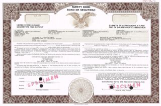 Consolidated Surety & Insurance Company Surety Bond Stock Certificate Specimen photo