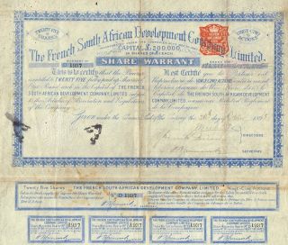 South Africa French South African Development Company Stock Certificate 1895 photo