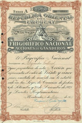 Uruguay Farm & Refrigeration Company Stock Certificate Montevideo 1939 photo