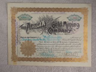 Antique 1896 Acacia Burns Morning Star Co.  Gold Mining Company Stock Certificate photo
