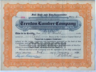 Trenton Lumber Company Stock Certificate photo