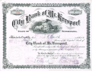 Usa City Bank Of Mckeesport Stock Certificate 1920. . .  Pennsylvania photo