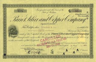 Usa Parrot Silver & Copper Company Stock Certificate 1899 Montana photo