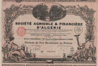 Africa Algeria Agriculture & Finance Stock Certificate 1929 photo