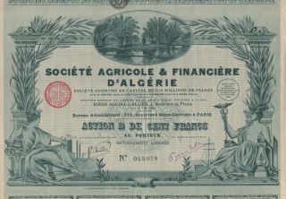 Africa Algeria Agriculture & Finance Stock Certificate 1928 photo