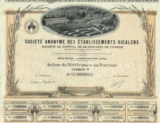 France Fabric Company Stock Certificate 1928 Etablissements Ricalens photo