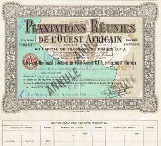 Africa Plantations Of West Africa Stock Certificate photo