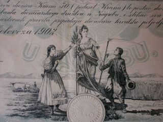 Croatia,  Share Of Croatian Agricultural Bank,  50 Kruna 1.  8.  1902,  Rare photo