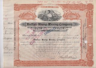Buffalo Hump Mining Company. . . . . . .  1900 Stock Certificate photo