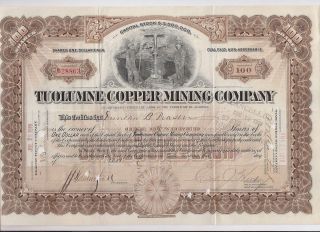 Tuolumne Copper Mining Company. . . . .  1918 Stock Certificate photo
