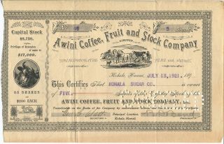 Rare Vintage Hawaii Stock Certificate:awini Coffee,  Fruit And Stock Co. photo