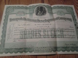 Tonopali Belmont Development Company Capitol Stock Certificate 35 Shares 1918 photo