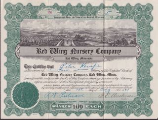 Rare 1921 Red Wing Nursery Company Stock Certificate. . . . . . .  5 Shares. photo