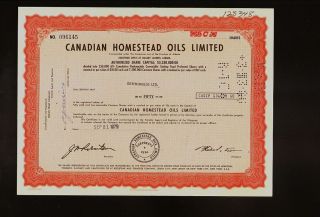 Canada : Canadian Homestead Oils Limited Alberta Iss To Greenfields Dd 1979 photo
